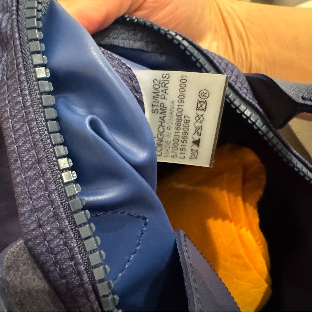 Longchamp Blue Bag